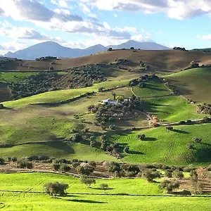 Campanas Ii , Villanueva de la Concepcion Spain